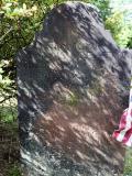 image of grave number 710039